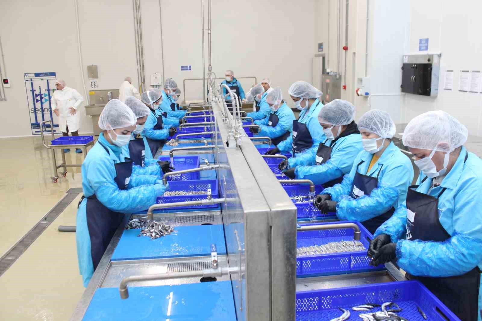 Kadın emeğiyle yükselen değer: Sinop lakerdası markalaşma yolunda