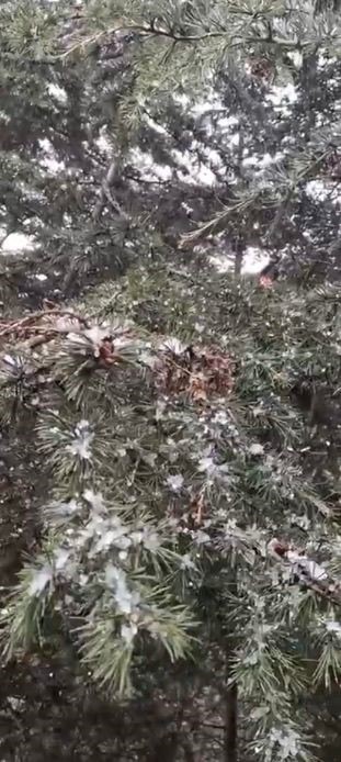 Kocaeli&rsquo;de nisan ayında kar s&uuml;rprizi
