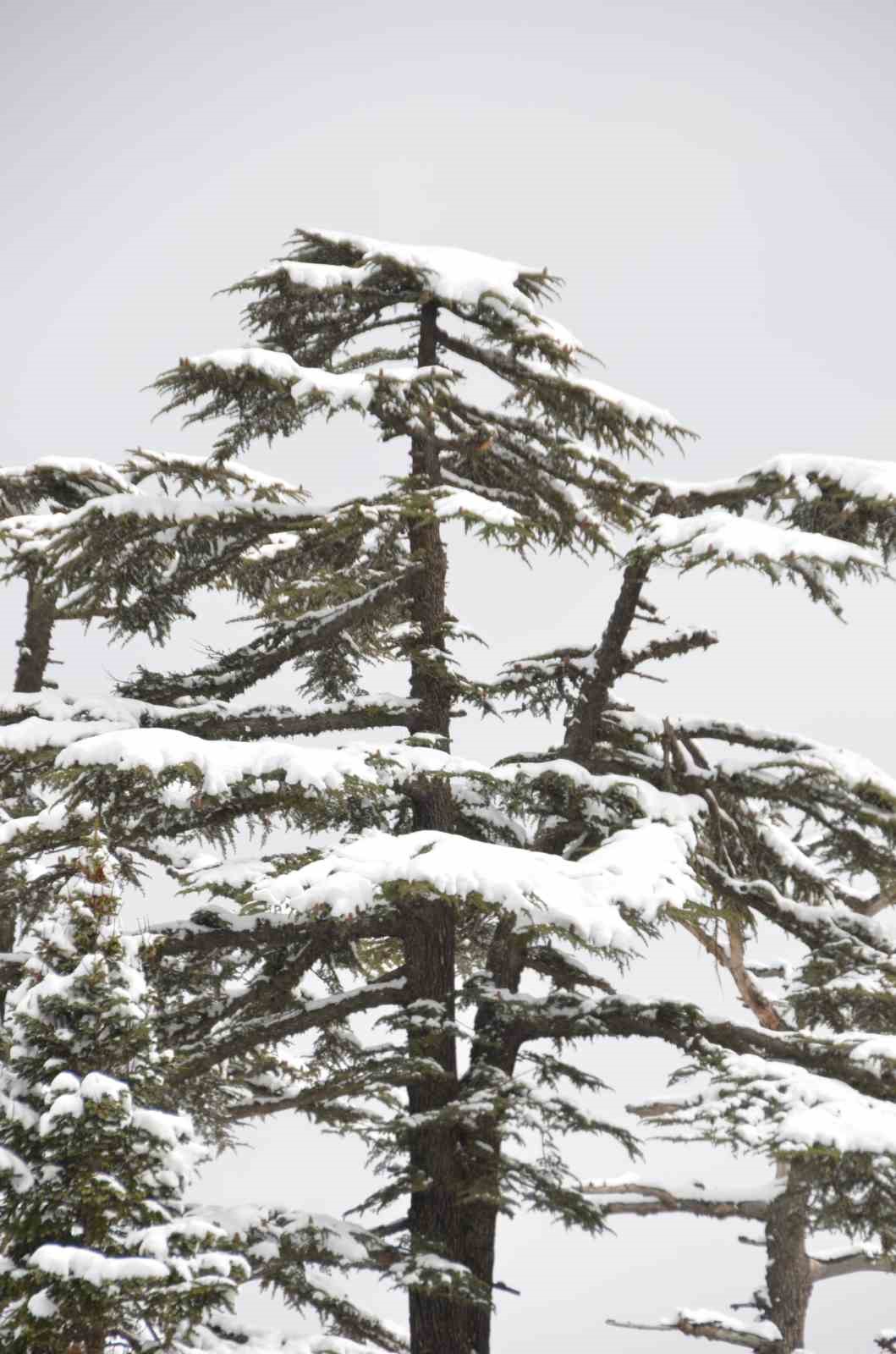 Antalya’nın zirvelerinde Nisan ayında kar sürprizi