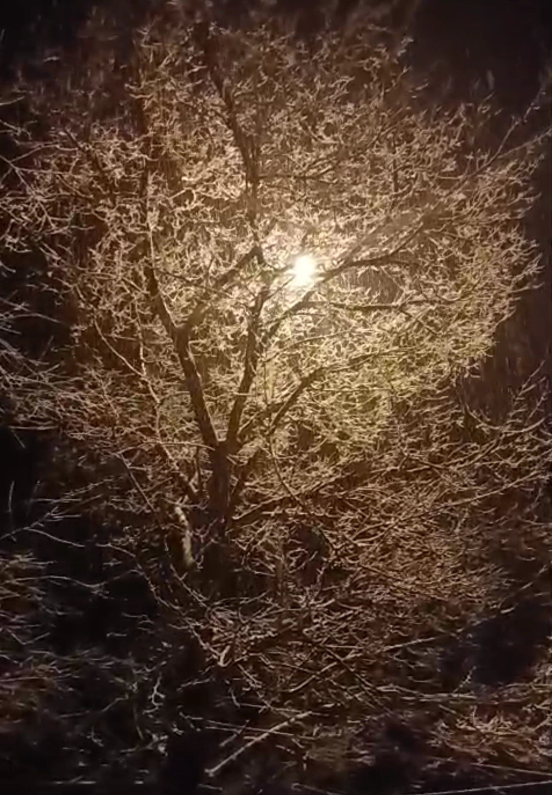 Karako&ccedil;an&rsquo;da kar yağışı etkili oldu
