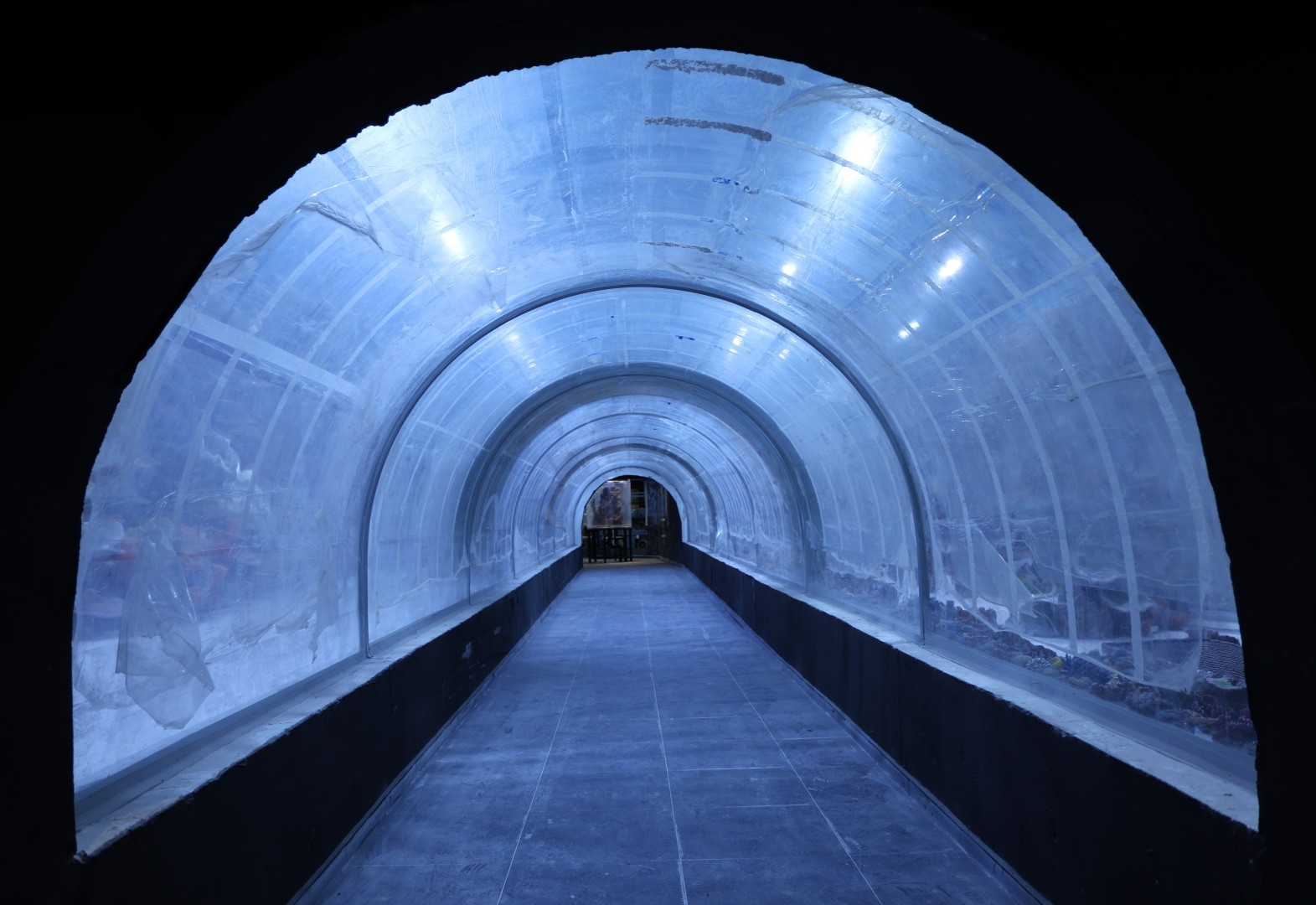 Kocaeli’de su altında dünya turu başlıyor: 30 farklı akvaryumla eşsiz gezi