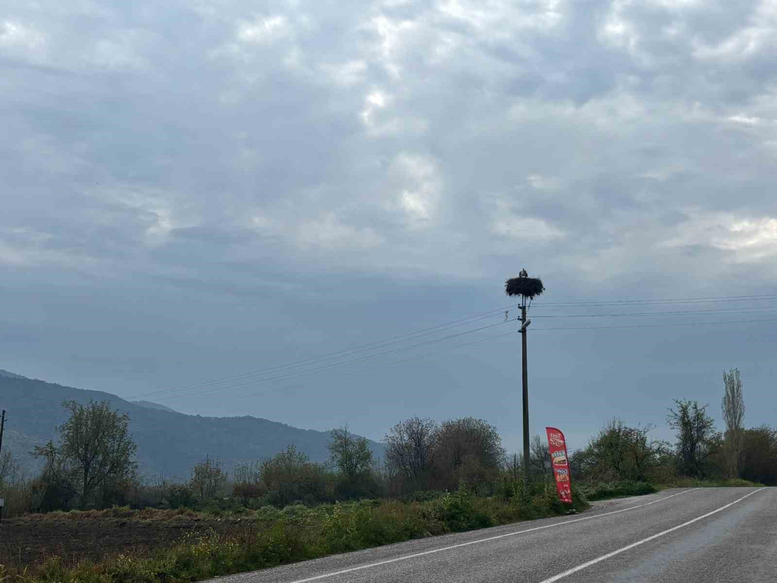 Bozdoğan’da baharın müjdecisi leylekler yuvalarına döndü