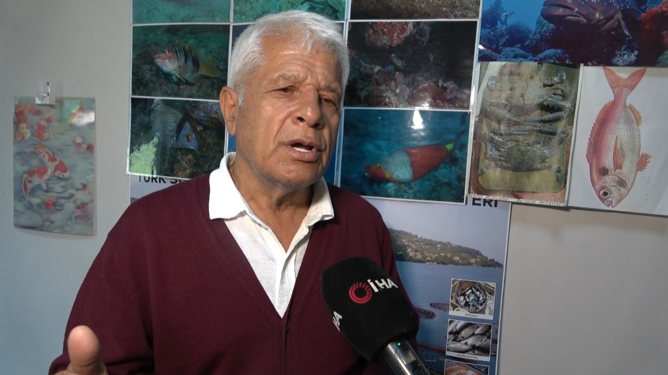 Alanya&rsquo;da sahildeki siyah tabaka &ouml;nce  tedirgin etti, ger&ccedil;ek sonradan ortaya &ccedil;ıktı
