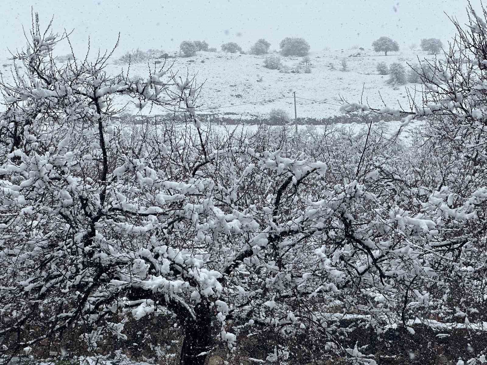 Malatya’da kayısı bahçeleri kar altında kaldı