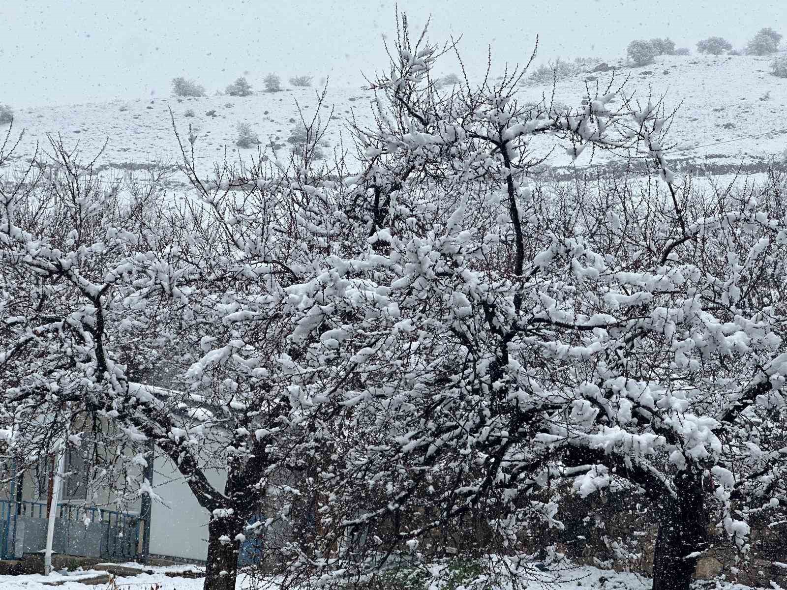 Malatya’da kayısı bahçeleri kar altında kaldı