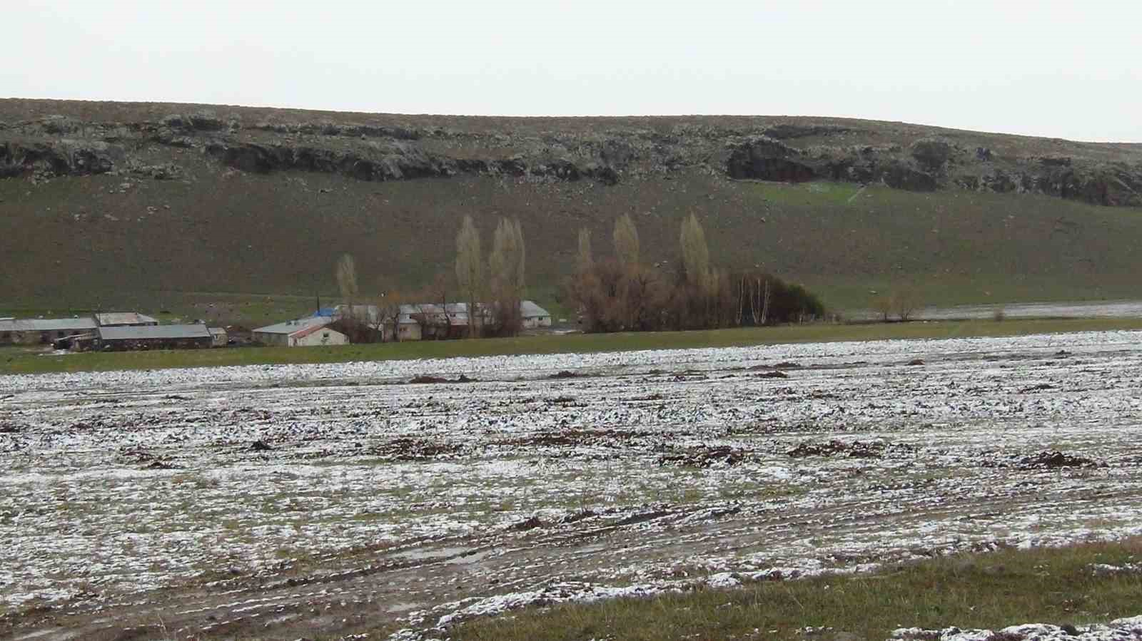 Kars’ta sarıçam ormanları beyaza büründü, tarım arazileri kar altında