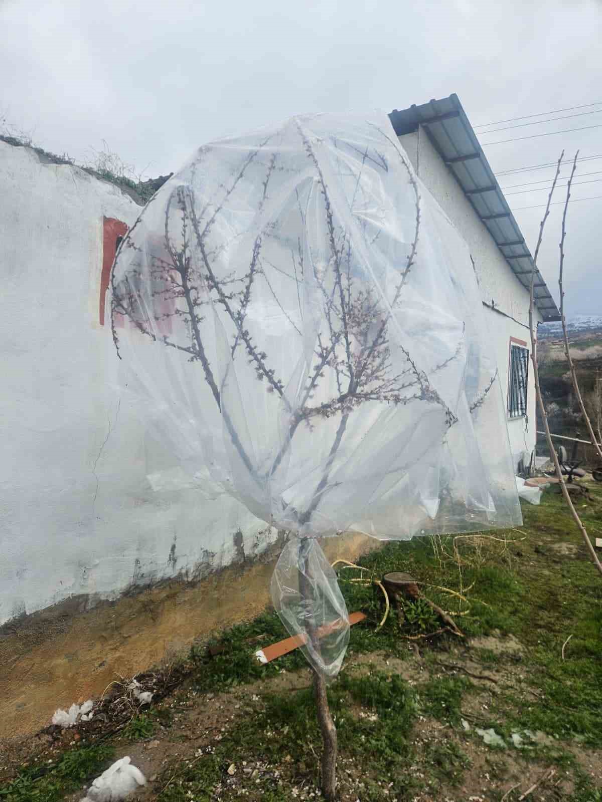 Malatya&rsquo;da kayısı &uuml;reticileri zirai don i&ccedil;in alarma ge&ccedil;ti
