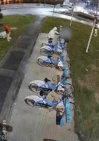 Belediyenin bisikletlerine b&ouml;yle zarar verdiler
