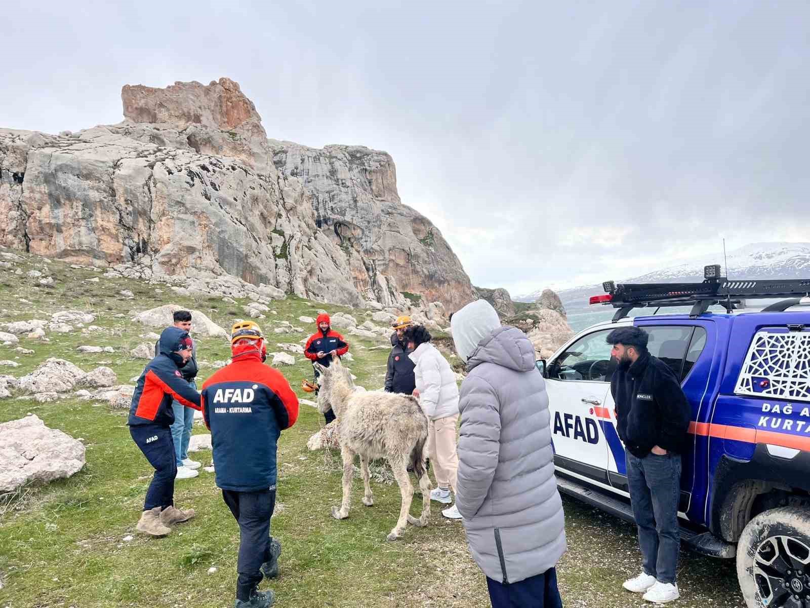Van’da kayalıklarda mahsur kalan eşek kurtarıldı