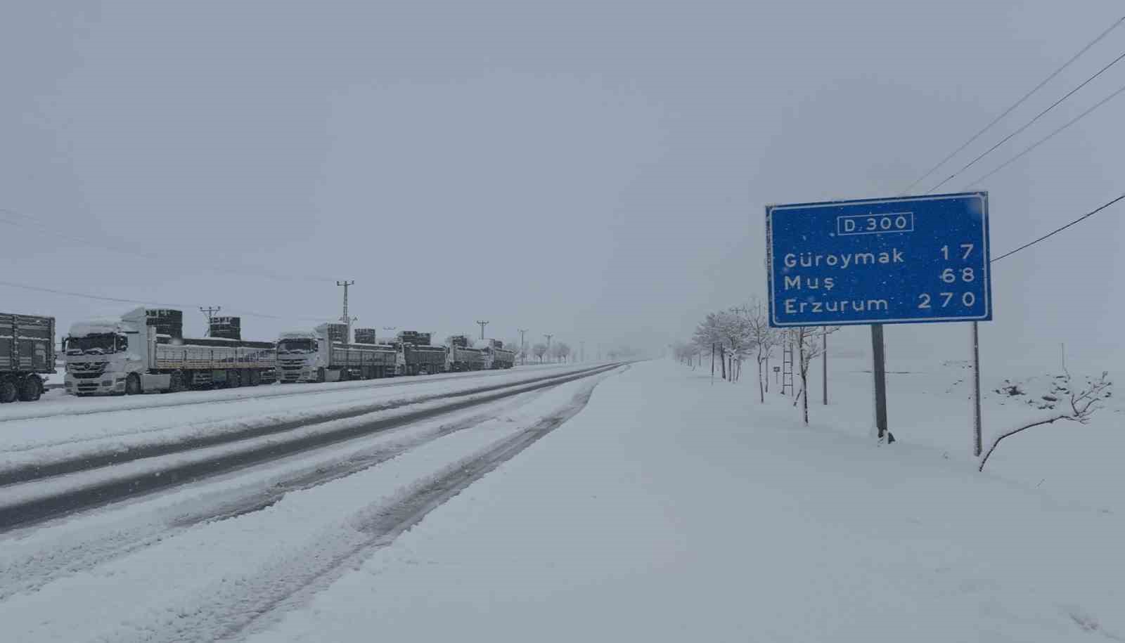Tatvan’da nisan ayında şehir beyaza büründü