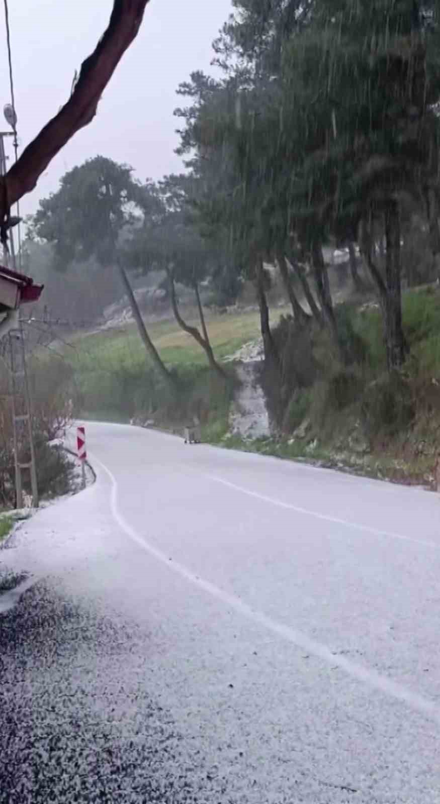 Dolu yağışı beyaza b&uuml;r&uuml;d&uuml;
