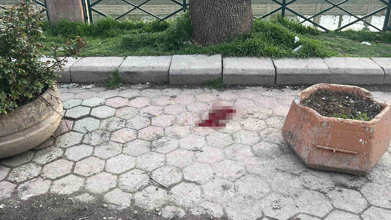 Eskişehir&rsquo;de bı&ccedil;aklı kavga: 1 yaralı
