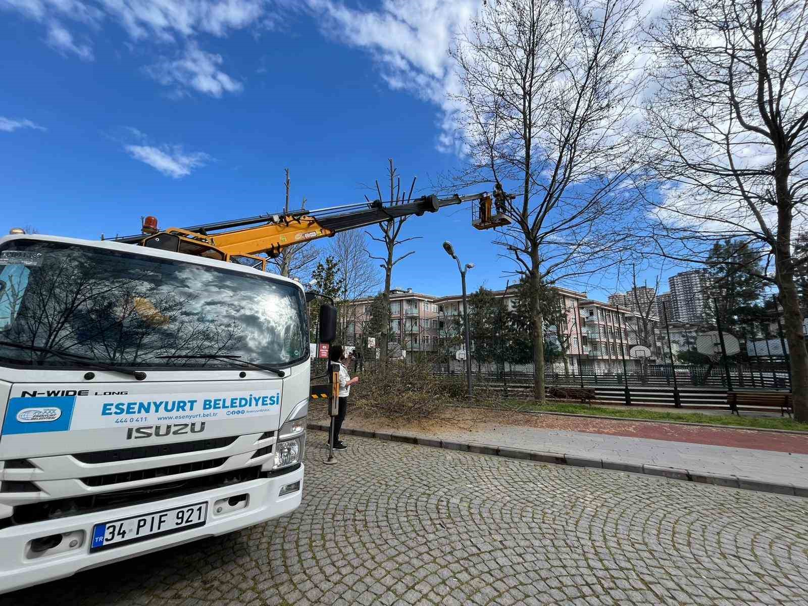 Esenyurt Belediyesi&rsquo;nden yeşil alanlara bahar dokunuşu
