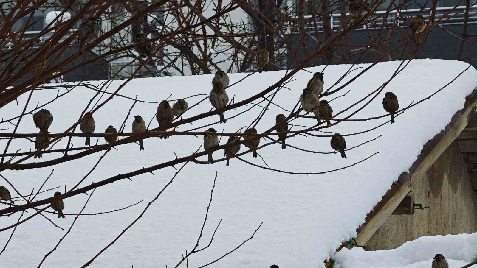 Bitlis’te kar yağışı nedeniyle 82 köy yolu ulaşıma kapandı