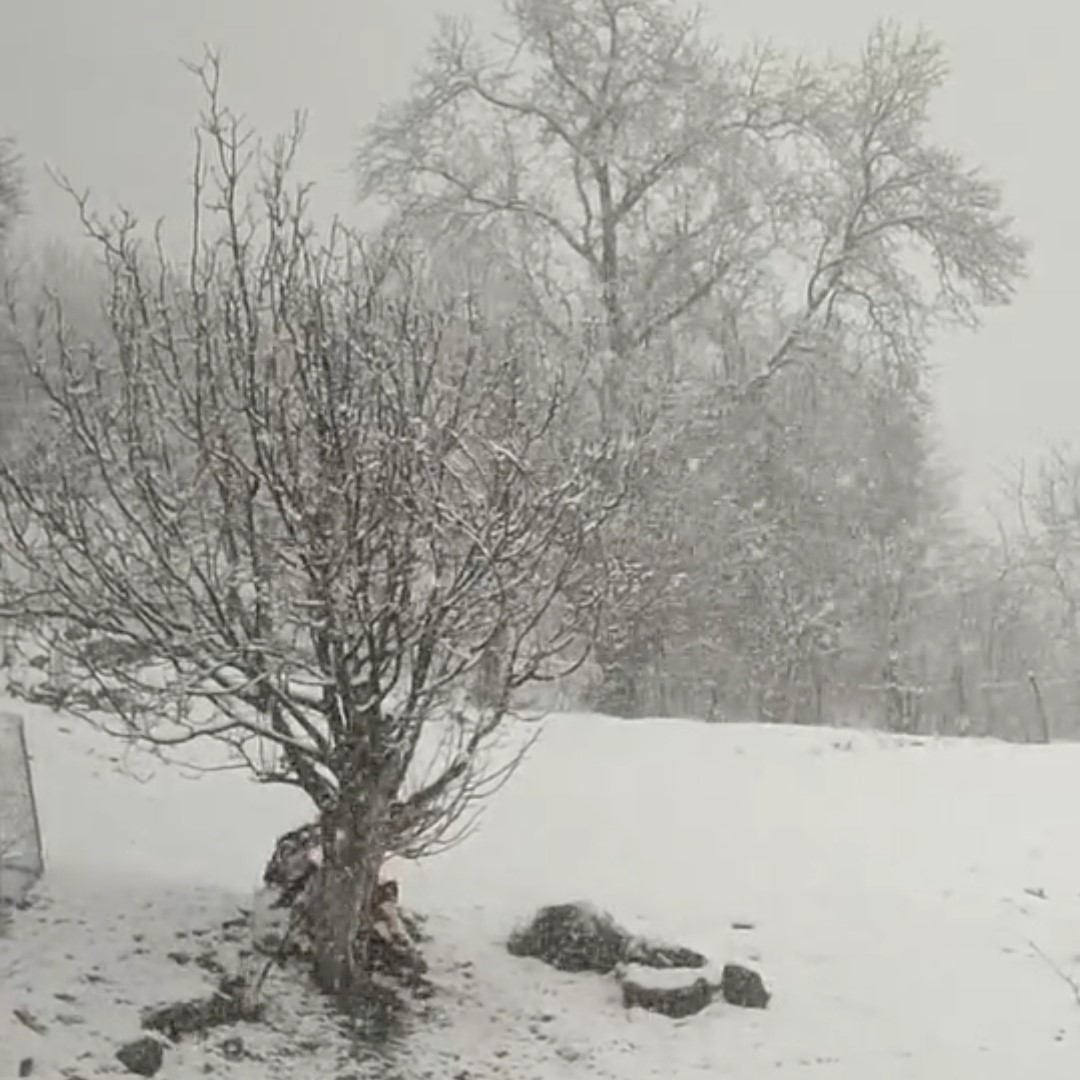 Siirt&rsquo;te nisan ayında kar s&uuml;rprizi
