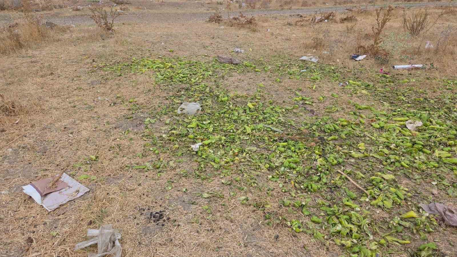 Ticaret Bakanlığı&rsquo;ndan biber g&ouml;r&uuml;nt&uuml;lerine yalanlama
