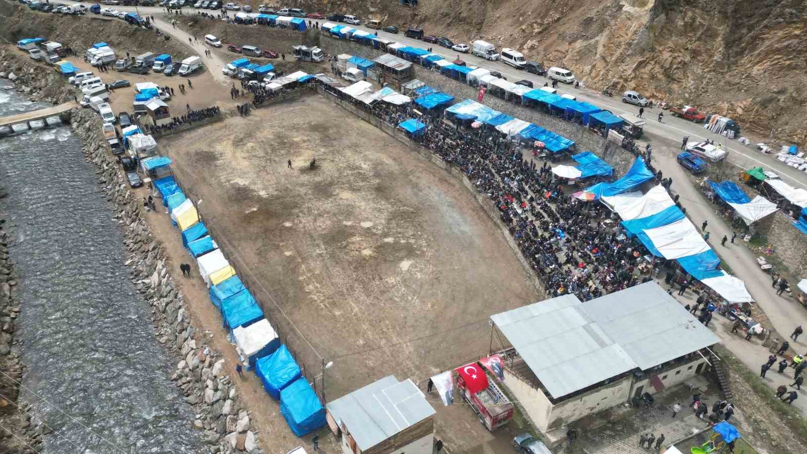 Artvin&rsquo;de boğa g&uuml;reşleri sezonu Sarıg&ouml;l&rsquo;de a&ccedil;ıldı
