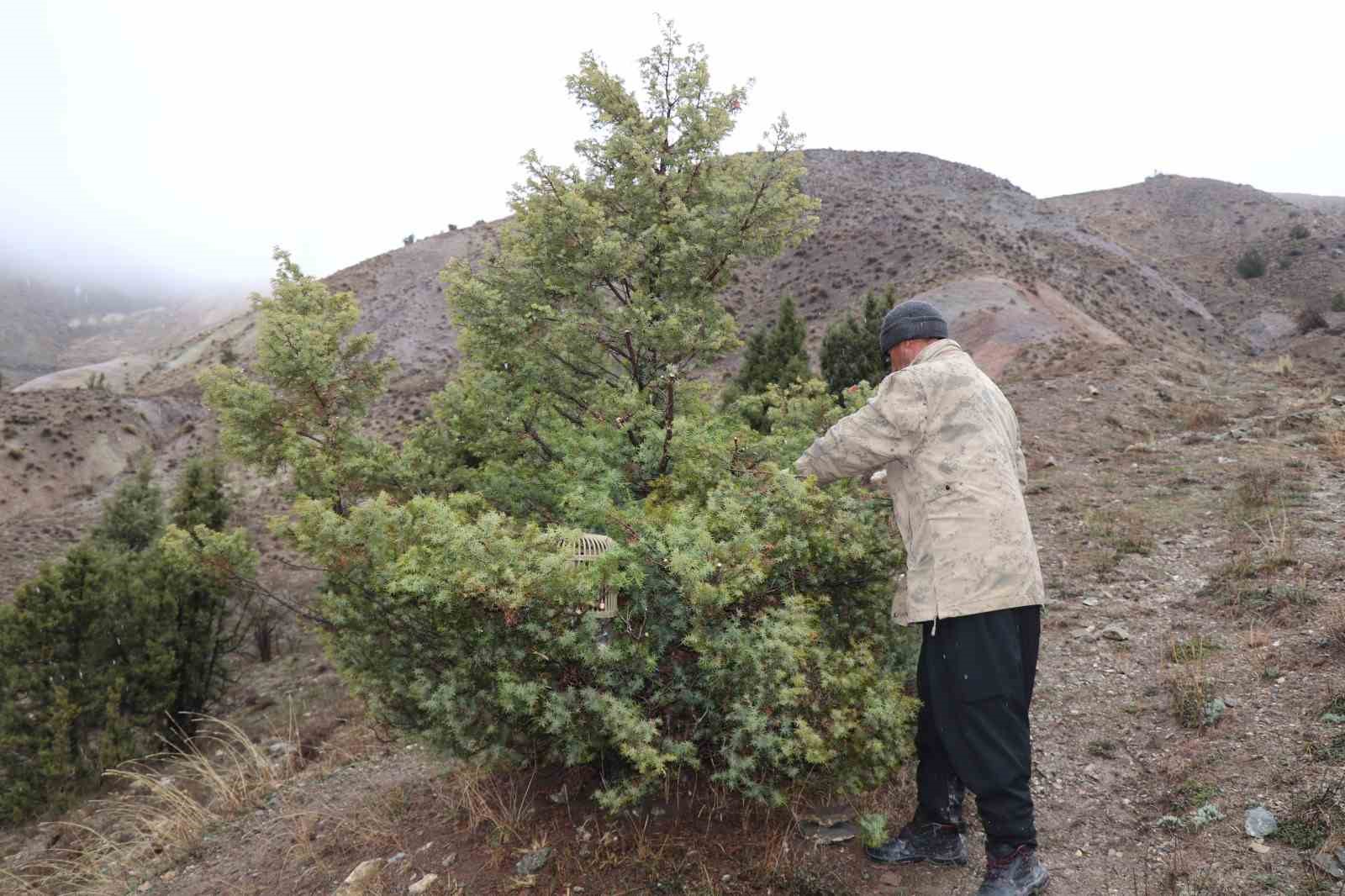 Atadan toruna kalan miras:  "Baskın keklik" y&ouml;ntemiyle dev envanter
