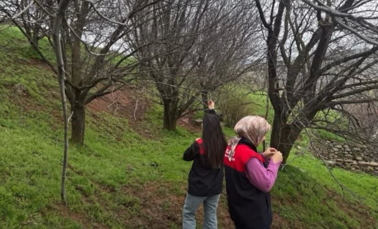Elazığ&rsquo;da zirai don mesaisi
