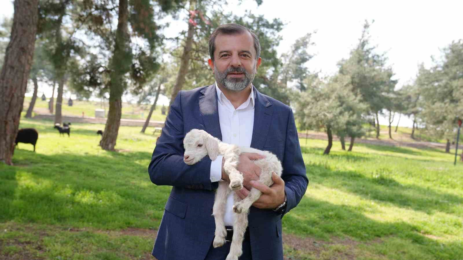 G&uuml;rsu Butik Hayvanat Bah&ccedil;esi yeni sakinlerini ağırlıyor
