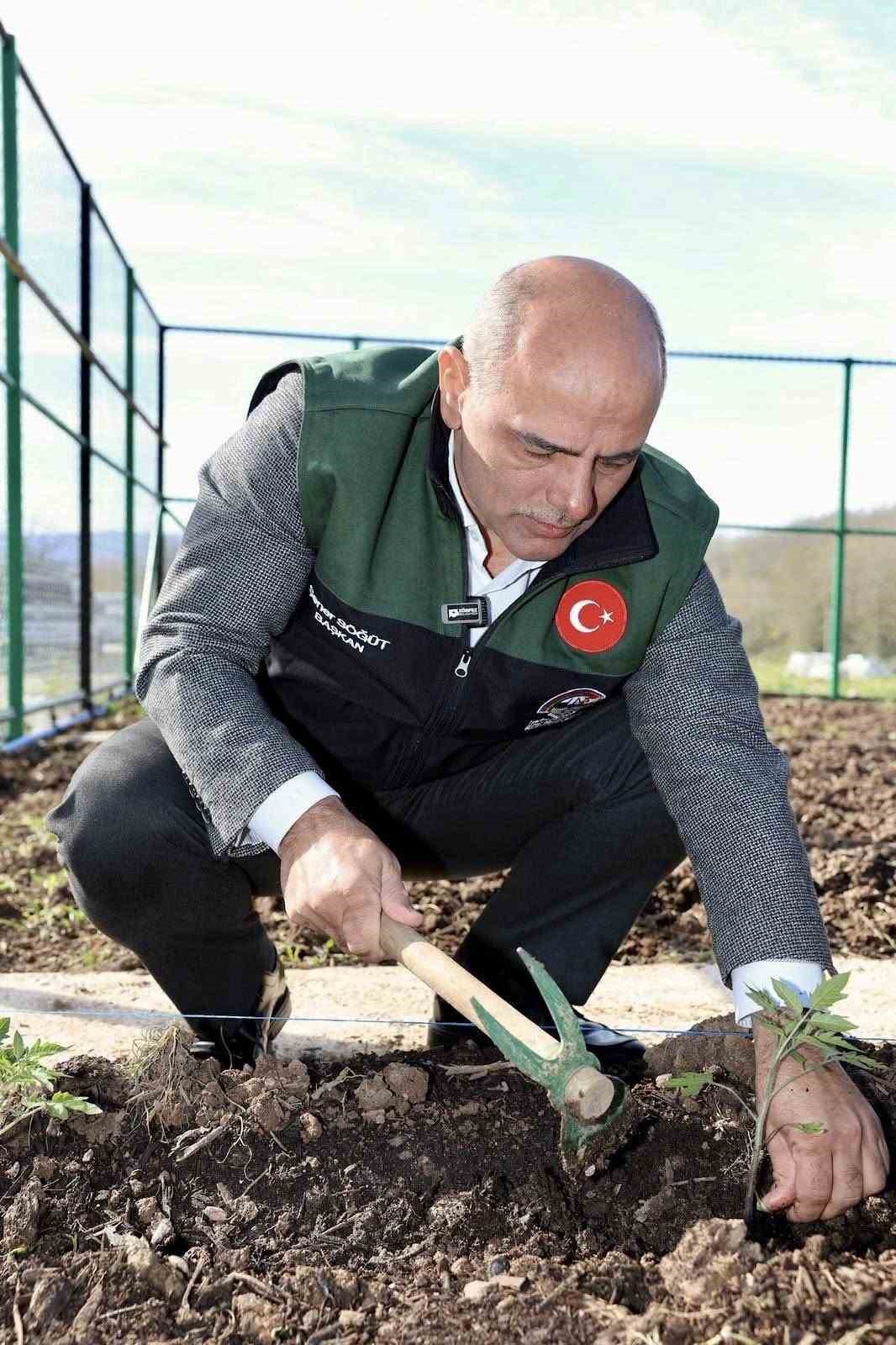 Kendi kompost g&uuml;bresini &uuml;reten belediyeden "ata tohumu" hamlesi
