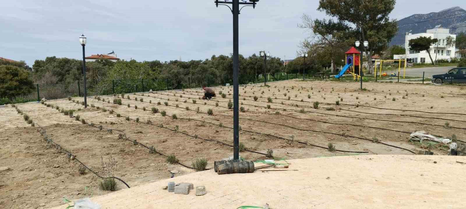 S&ouml;ke Belediyesi, il&ccedil;e genelinde &ccedil;alışmalarını s&uuml;rd&uuml;r&uuml;yor
