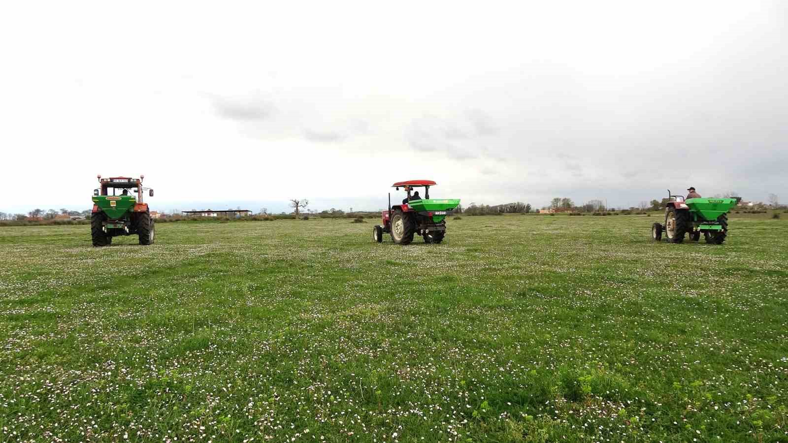 Samsun’da meralarda ıslah çalışmaları sürüyor