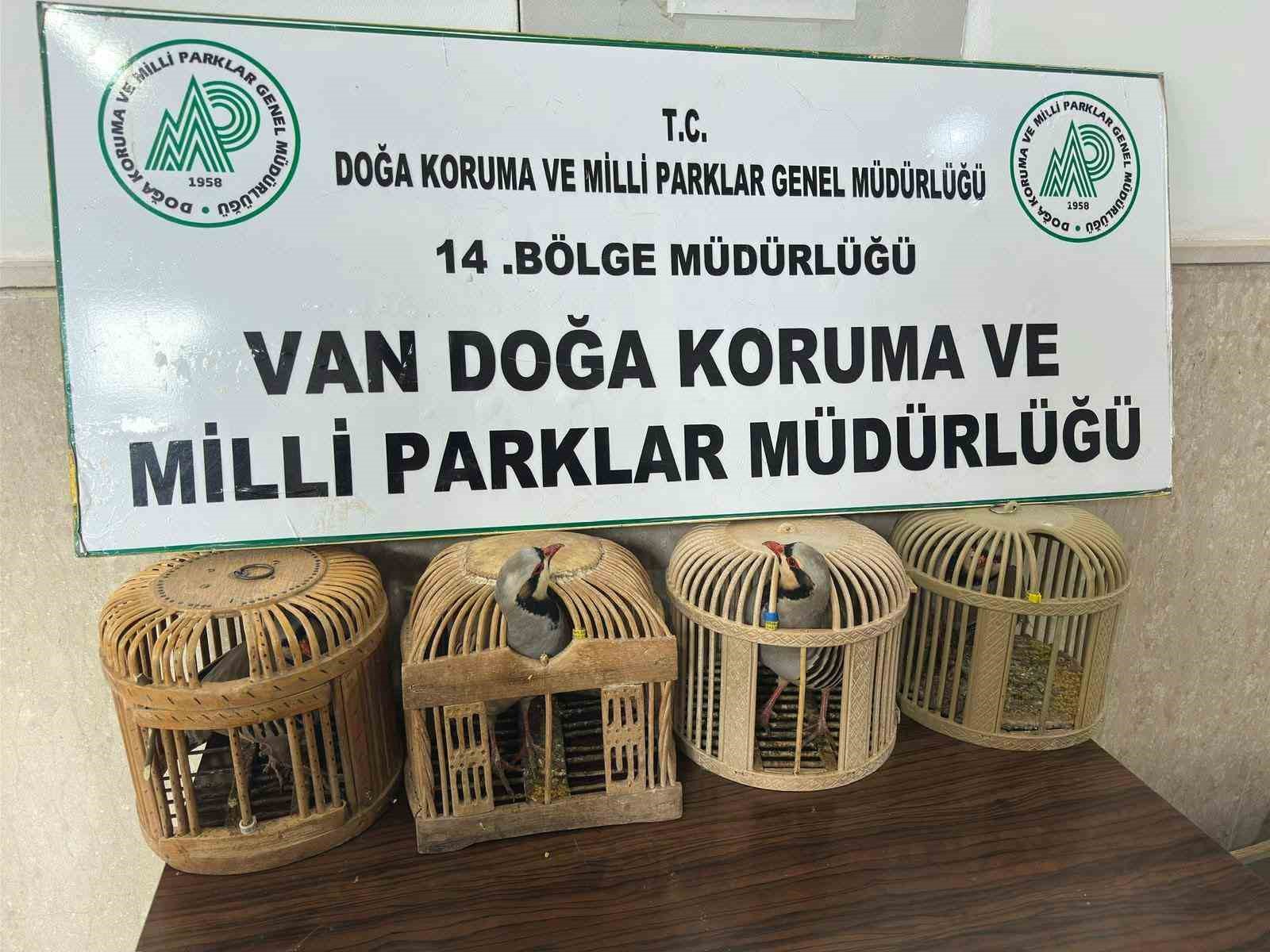 Van’da keklik avlayan şahsa 86 bin 278 lira para cezası