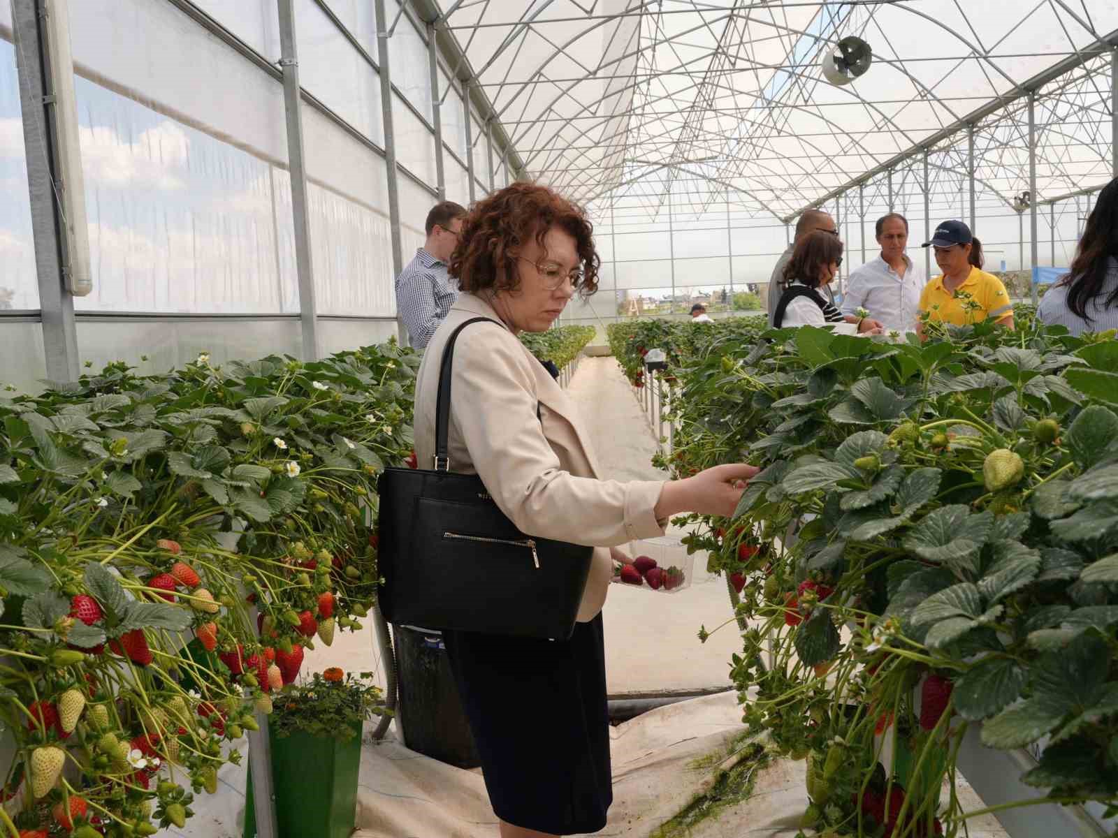Tarsus Belediyesinden Avrupa Birliği destekli yeşil dönüşüm hamlesi