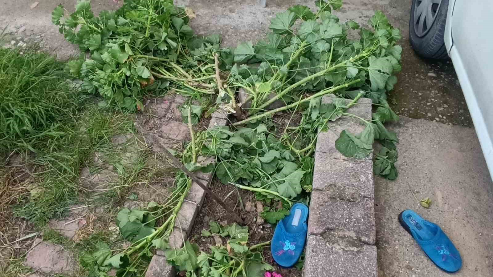 Antalya’da küçük çocuk ikinci kattan düştü, olayı kırıklarla atlattı
