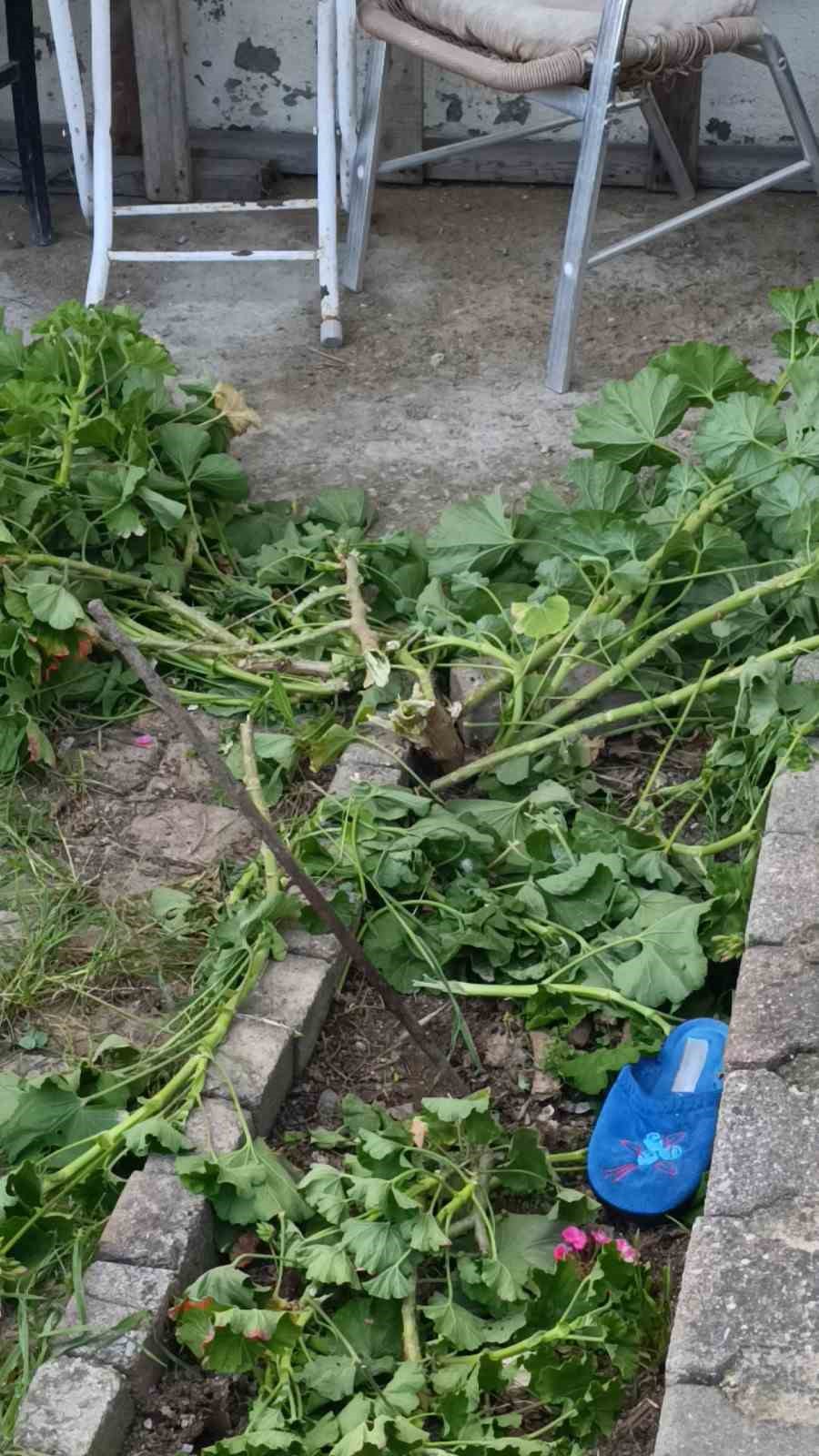 Antalya&rsquo;da k&uuml;&ccedil;&uuml;k &ccedil;ocuk ikinci kattan d&uuml;şt&uuml;, olayı kırıklarla atlattı
