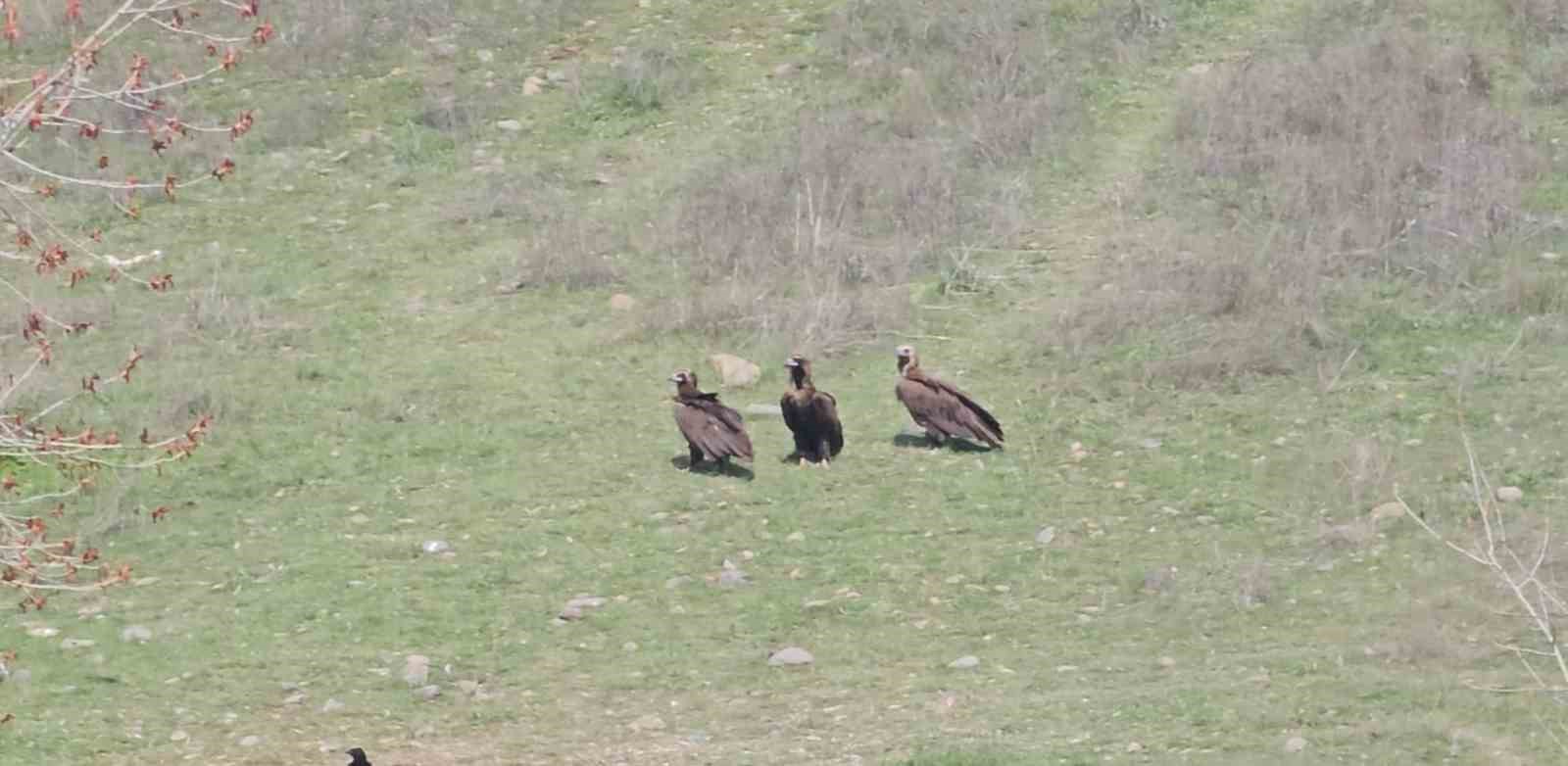 Dev kanatlar Kızılcahamam&rsquo;da g&ouml;r&uuml;nt&uuml;lendi

