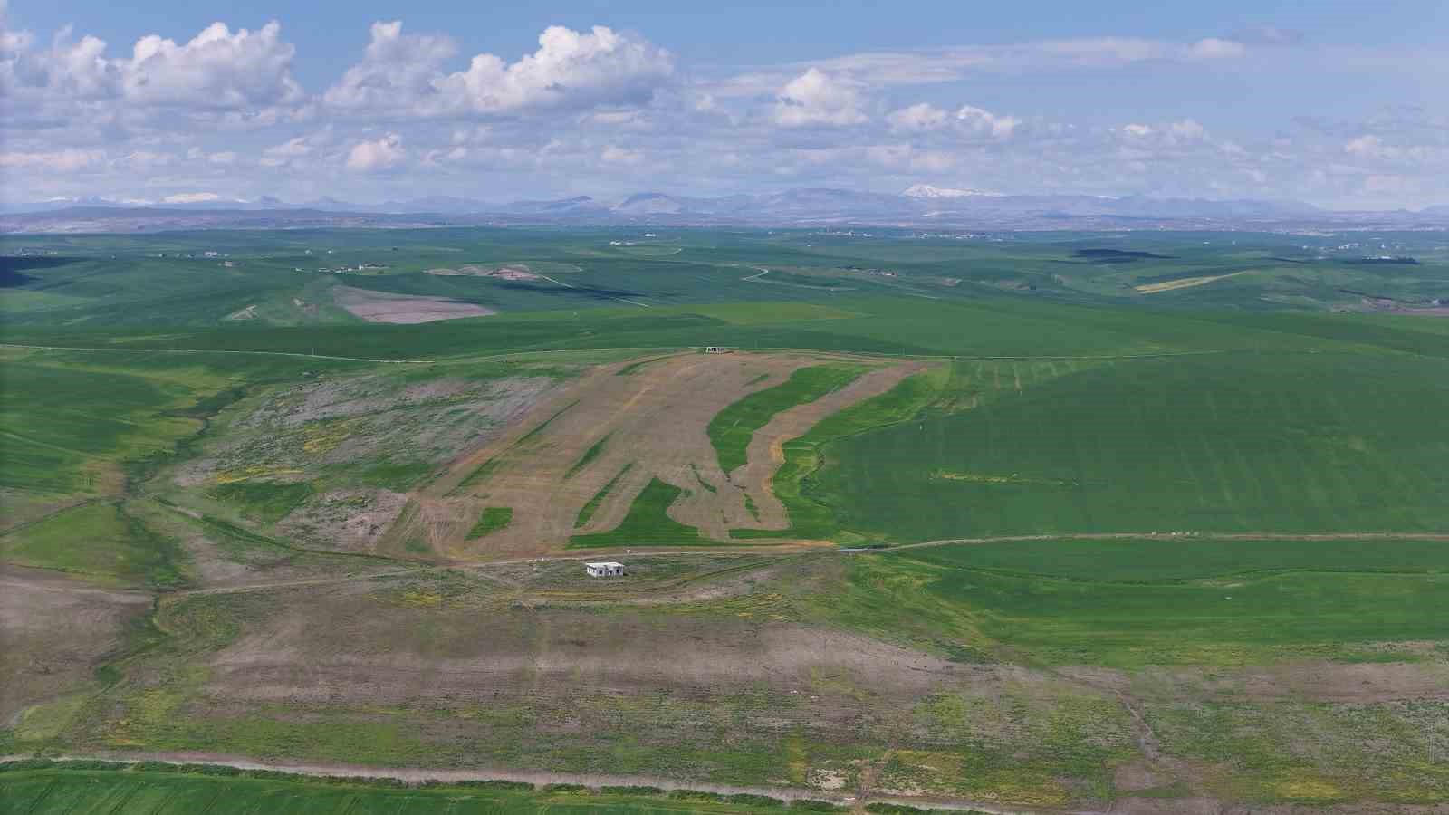 Jandarma eşliğinde ektiği 250 dönüm tarla iddiaya göre akrabaları tarafından ilaçlanarak kurutuldu
