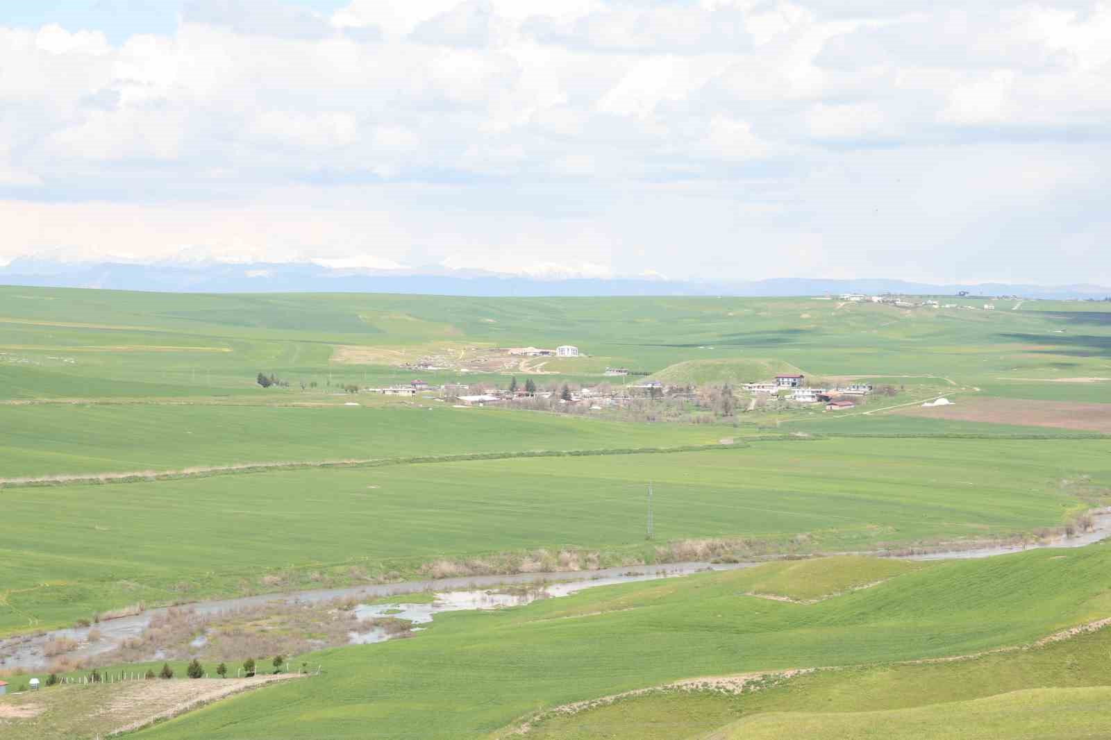 Jandarma eşliğinde ektiği 250 d&ouml;n&uuml;m tarla iddiaya g&ouml;re akrabaları tarafından ila&ccedil;lanarak kurutuldu
