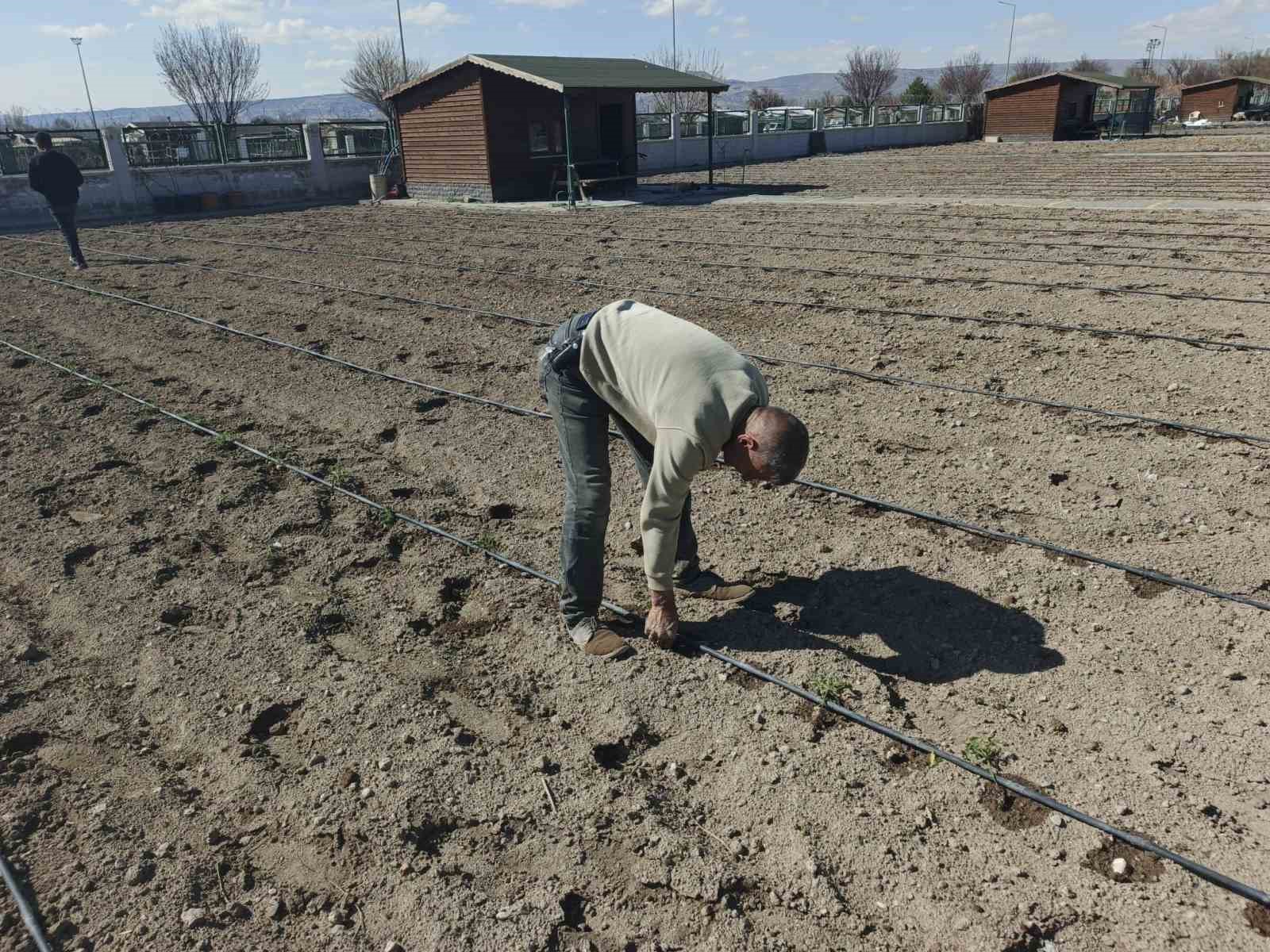 B&uuml;y&uuml;kşehirin Doğal &Uuml;r&uuml;nler Bah&ccedil;esi ve Pazarı&rsquo;nda yeni sezon hazırlığı
