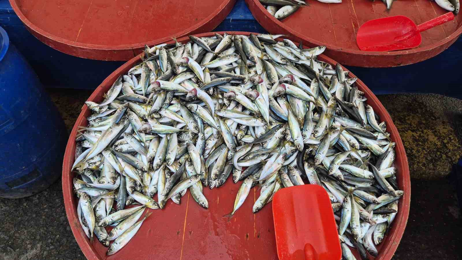 Av yasağı &ouml;ncesi pazarda yoğunluk
