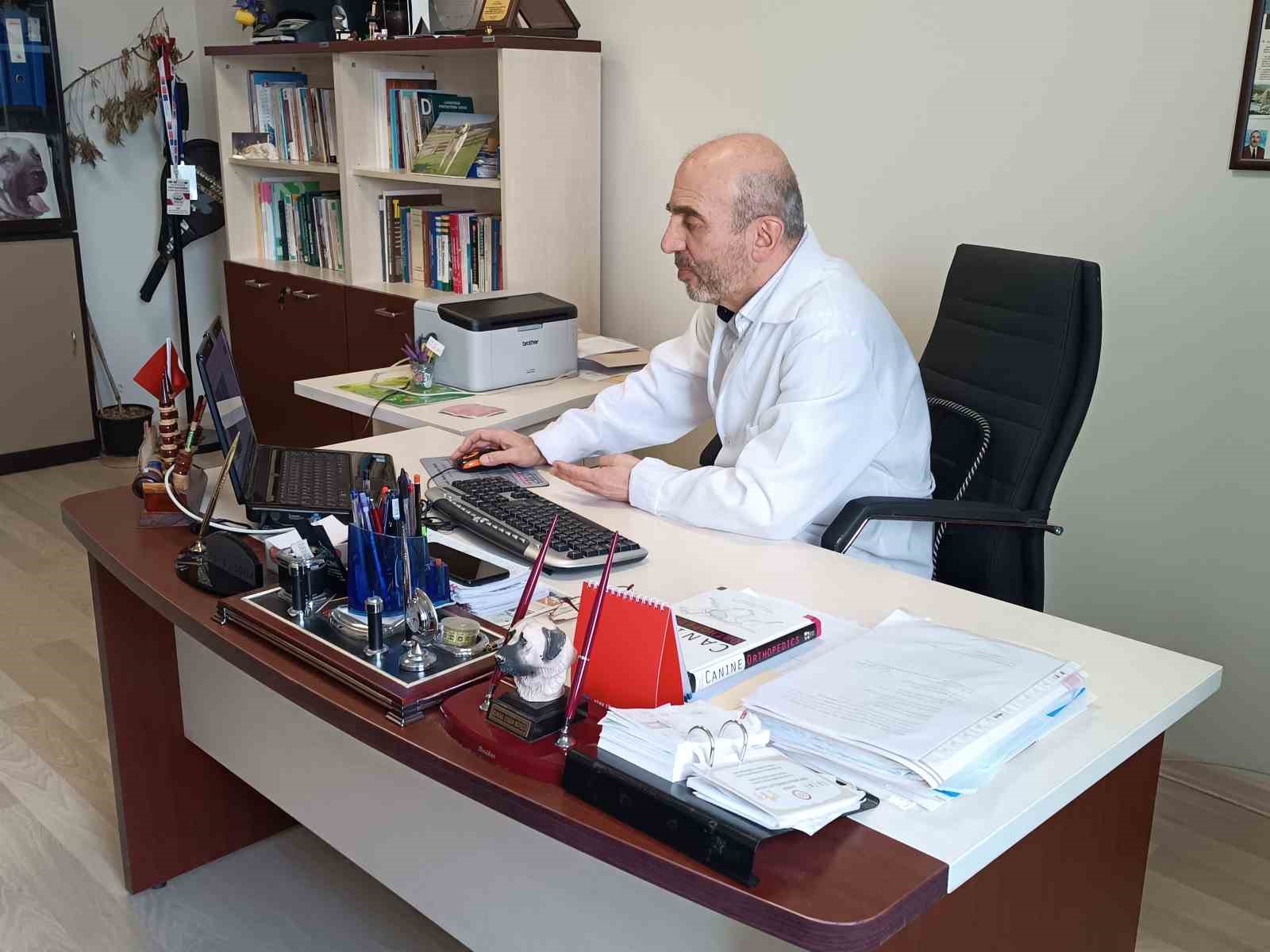 Uzman tavsiyesi: "Ayıyla karşılaşınca ka&ccedil;mayın, ondan b&uuml;y&uuml;k g&ouml;r&uuml;nmeye &ccedil;alışın"
