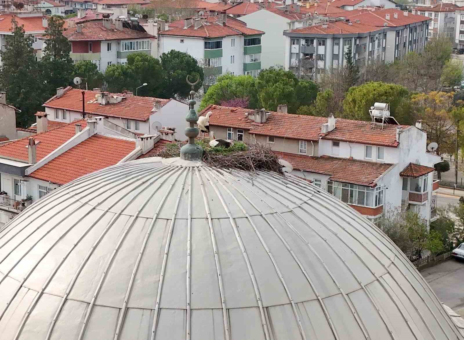 Menteşe&rsquo;nin sadık misafirleri geldi, 30 yıllık gelenek bozulmadı
