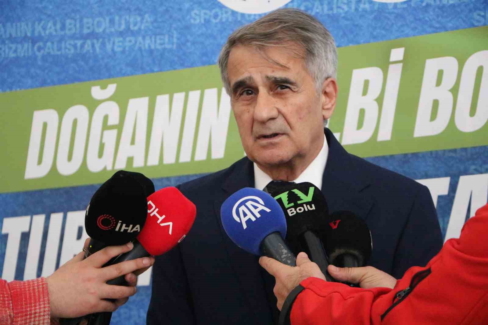 Şenol Güneş: "Milli takımın çeyrek finale kadar rahat gelebilecek bir görüntüsü var"