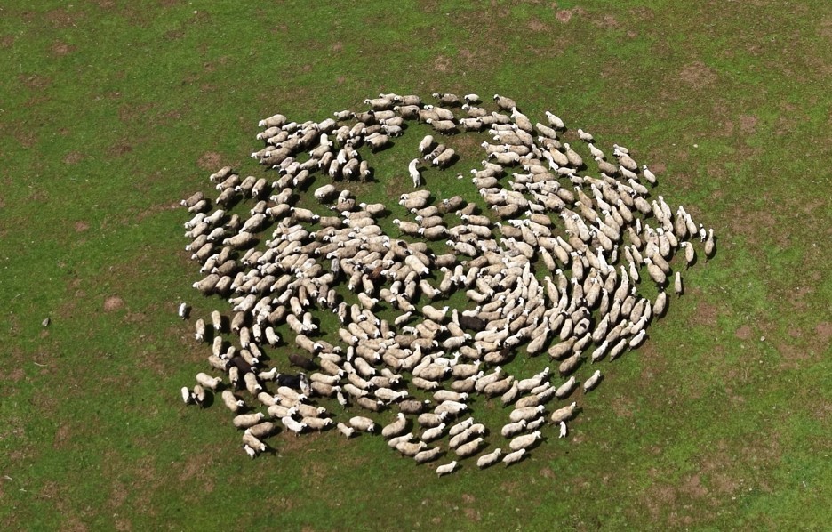 Gen&ccedil; besicilere b&uuml;y&uuml;k destek
