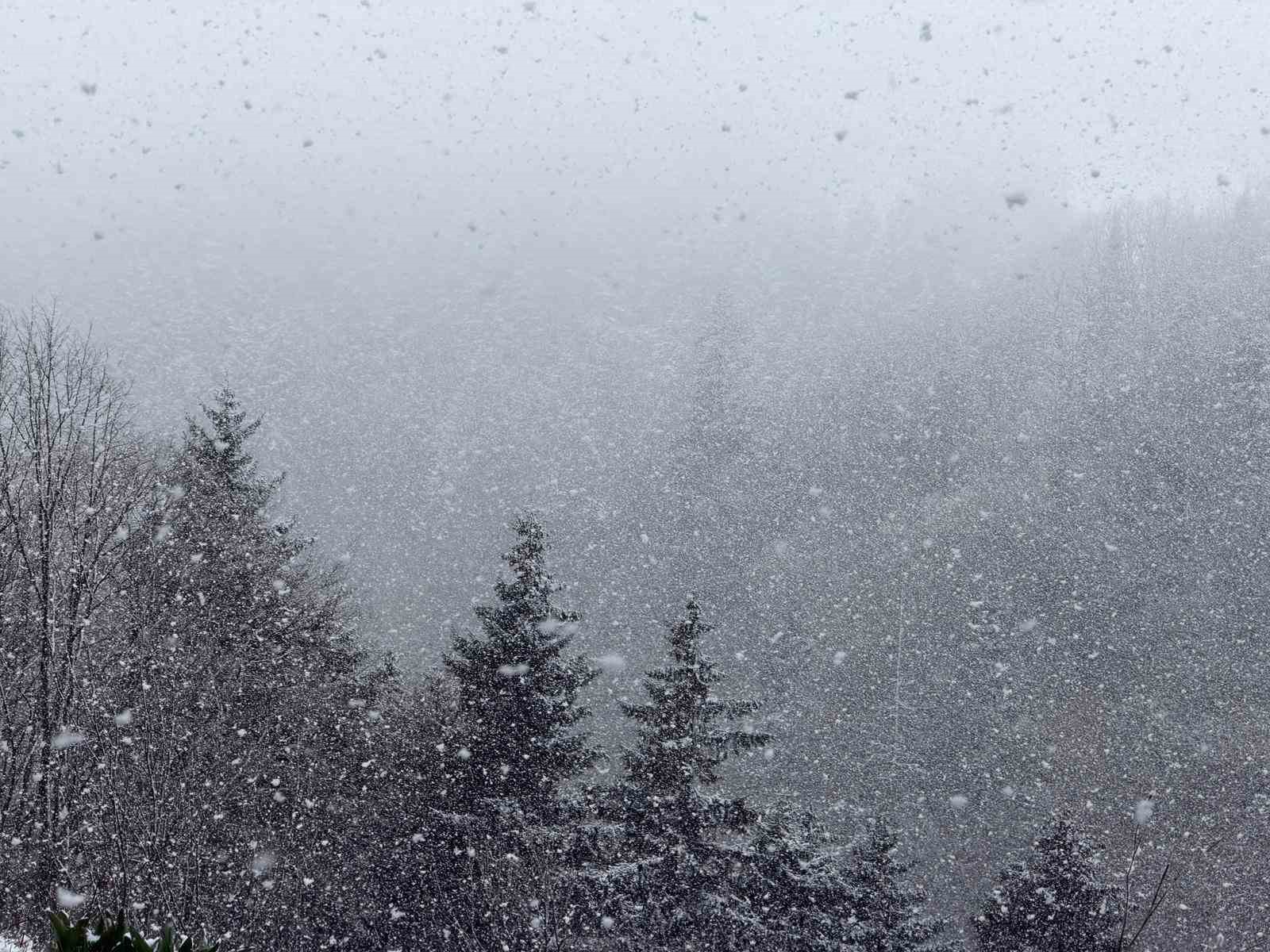 Zigana Dağı’nın yüksek kesimlerinde Nisan ayının ortasında lapa lapa kar süprizi
