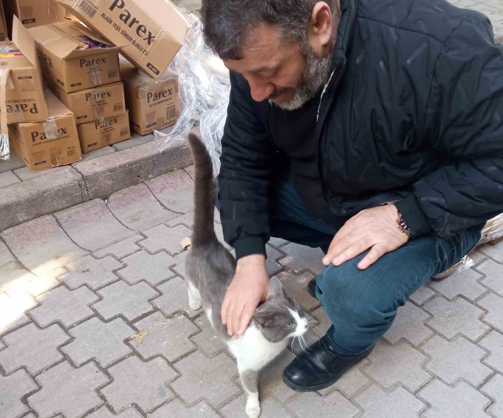 Köpeklerden kaçan kedinin imdadına itfaiye yetişti