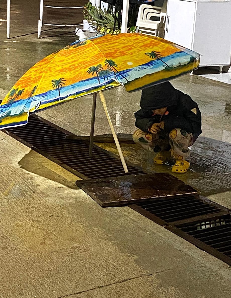 Su kanalında doğum yapan kedi ve 3 yavrusunun yeni yuvası depremzede ailenin konteyneri oldu
