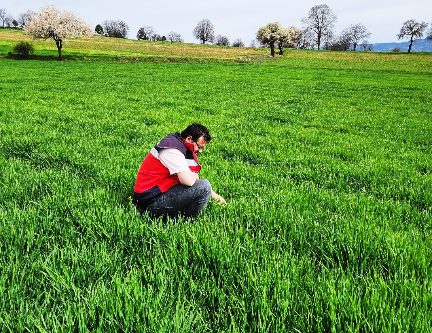 Hisarcık&rsquo;ta tarımsal saha &ccedil;alışmaları yapıldı
