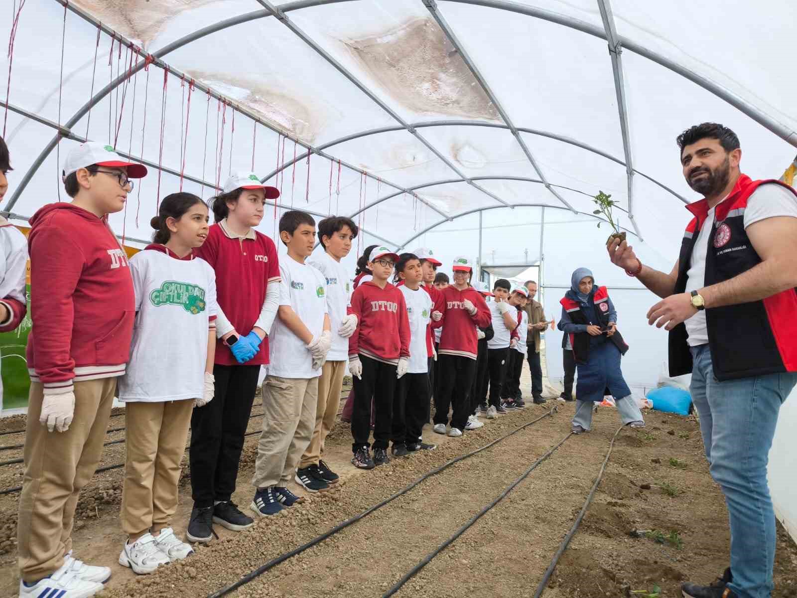 Demirkent TOKİ İlkokulu&rsquo;nda &ouml;ğrenciler serada fide dikti
