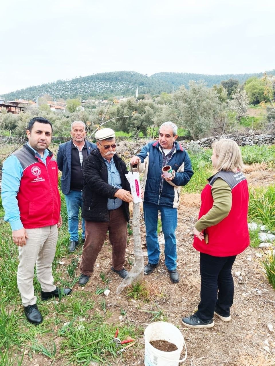 Menteşe&rsquo;de &ccedil;ift&ccedil;iye uygulamalı eğitim
