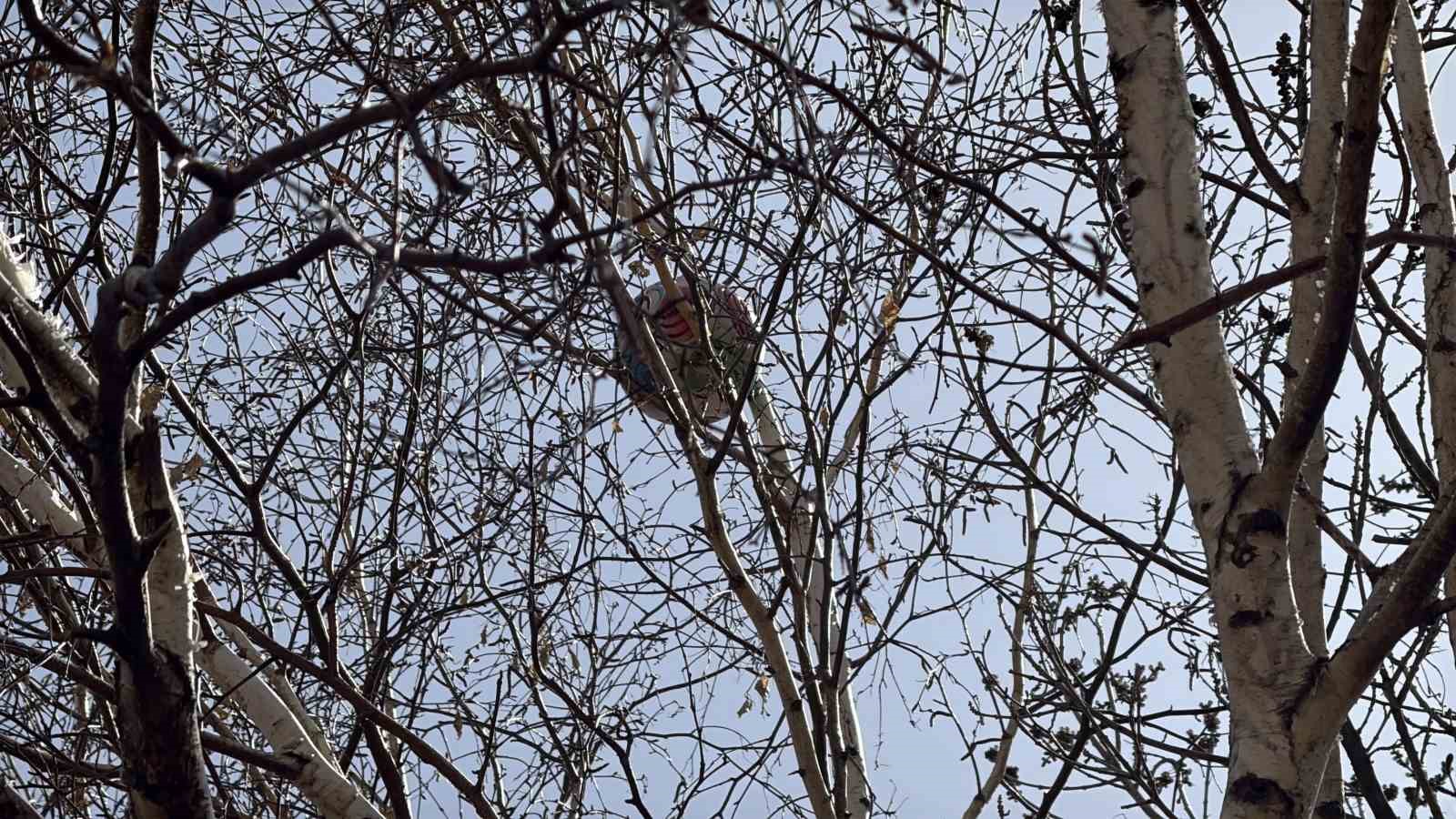 Topu almak i&ccedil;in &ccedil;ıktığı ağa&ccedil;tan inemeyen &ccedil;ocuk itfaiyeden yardım istedi
