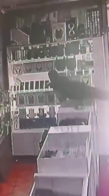 B&ouml;yle hırsızlık g&ouml;r&uuml;lmedi: Masanın &uuml;st&uuml;ne &ccedil;ıkıp vitrindeki telefonları alarak ka&ccedil;tı
