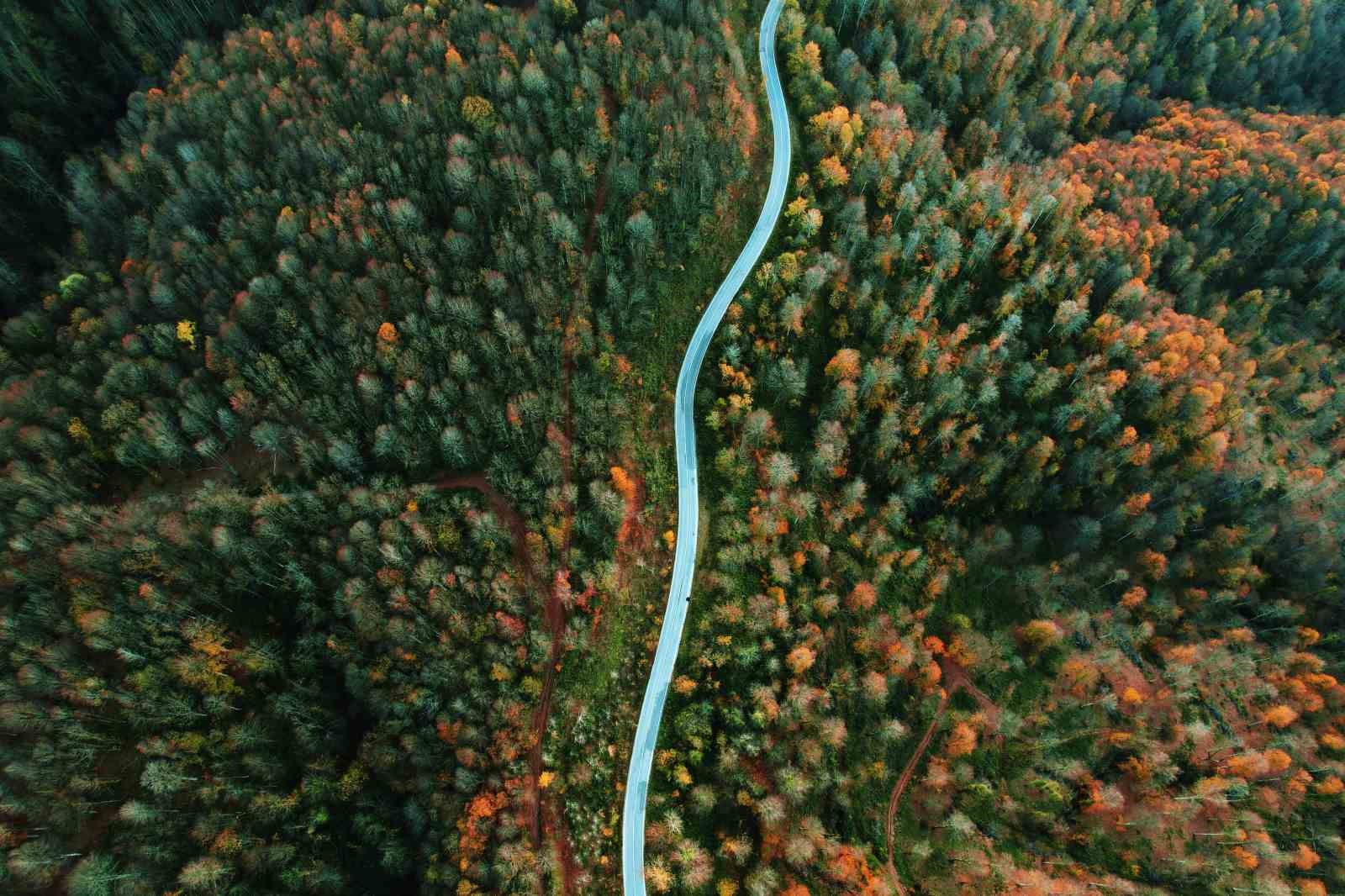 Sakarya turizmde hedeflerini büyütüyor: 2025’te 1,6 milyon turisti ağırladı