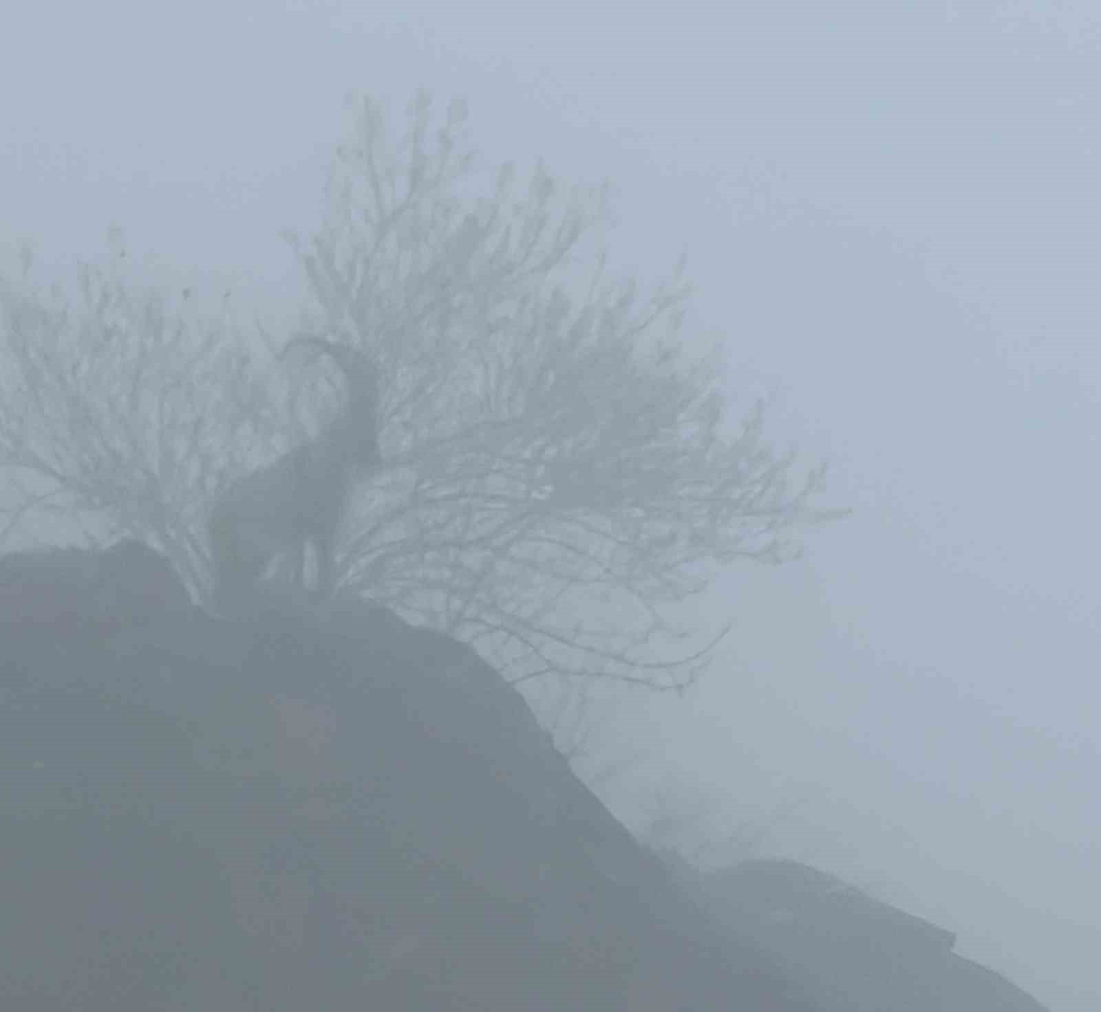 Sisli havada dağ ke&ccedil;ileri eşsiz g&ouml;r&uuml;nt&uuml;ler oluşturdu
